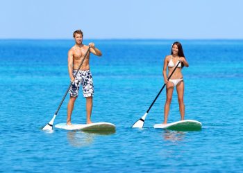 paddle surfers