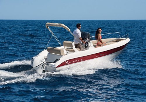 small rental boat without license